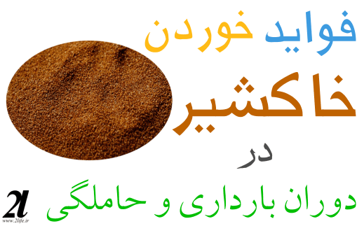 فواید خوردن خاکشیر در دوران بارداری و حاملگی